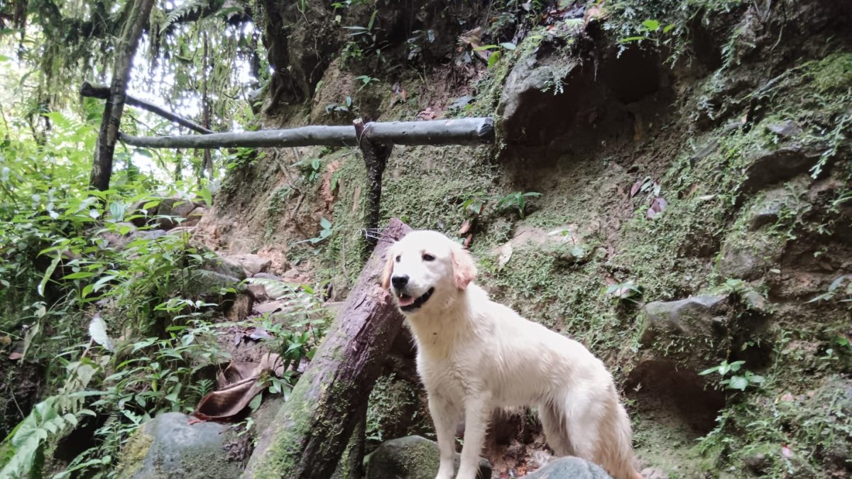 Luna es la décima guía del centro turístico Gran Cañón de Nachiyacu. Su ternura y carisma la han convertido en la favorita de los visitantes.