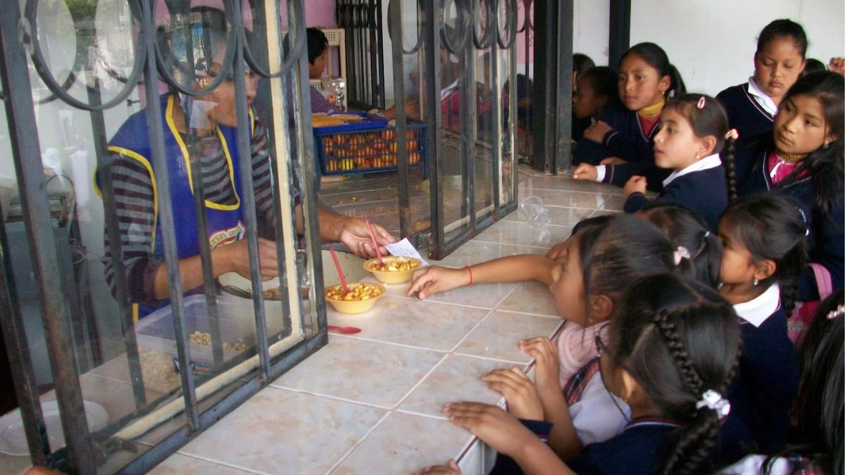  Qu Alimentos Est n Prohibidos Vender En Los Bares Escolares Esto 