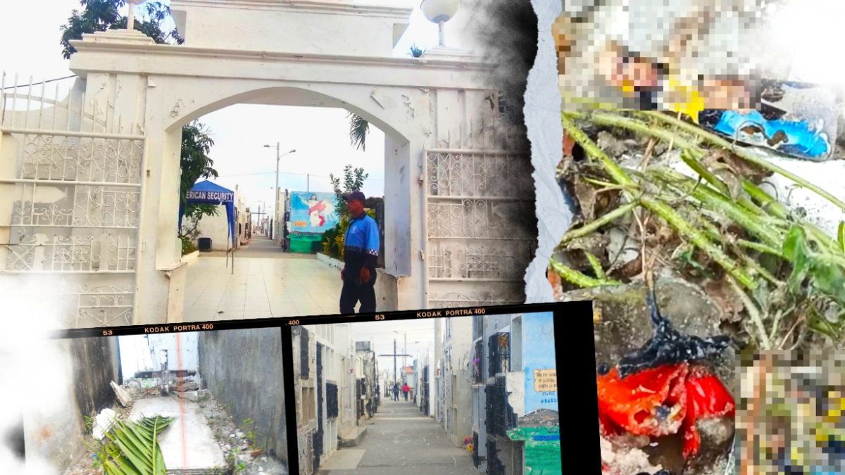 Unas fotos y varios elementos que encontraron dentro de unos frascos.