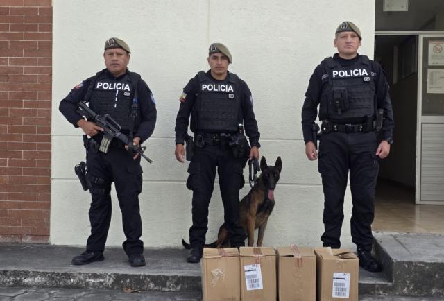 Canes detectan millonarias cargas de droga en encomiendas de Quito: Así las camuflan
