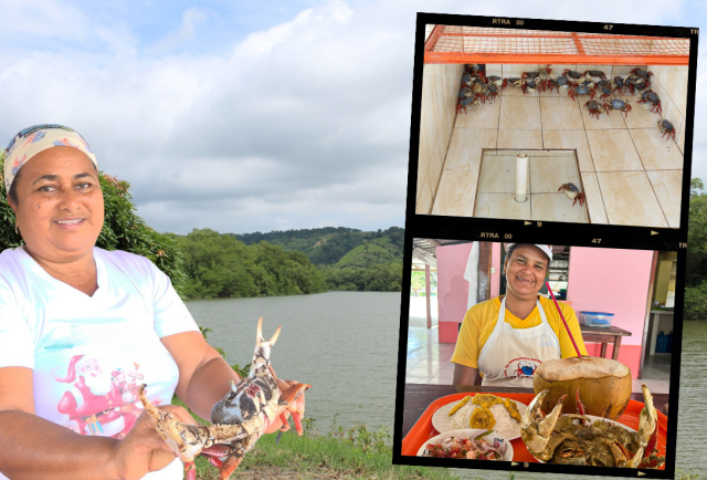 Turismo en Esmeraldas: Descubre el sabor único de Vuelta Larga en Rioverde