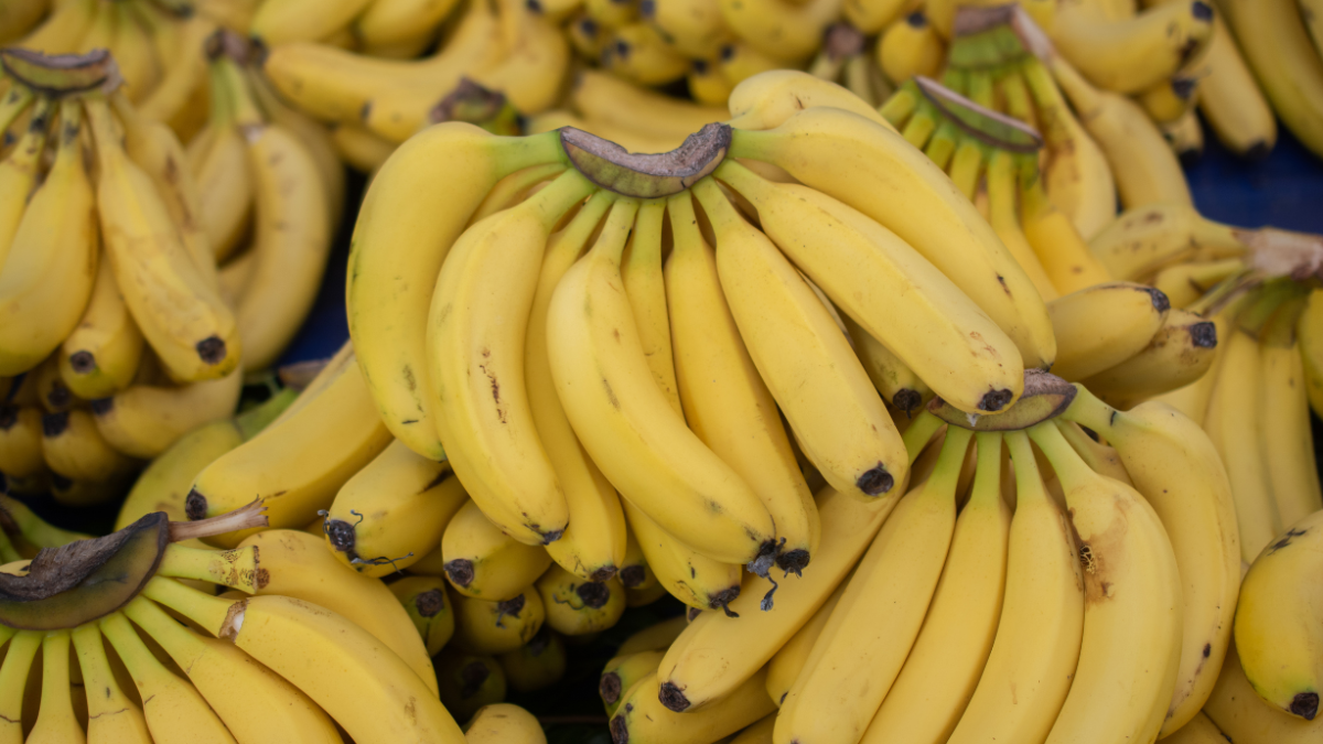 El banano ecuatoriano, junto con cacao, café, camarón y lácteos, será uno de los principales productos beneficiados con el acuerdo comercial entre Ecuador y Corea del Sur.