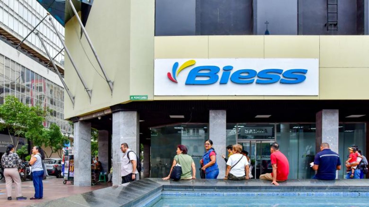 Los servicios en línea del Biess fueron temporalmente suspendidos en enero de 2026.