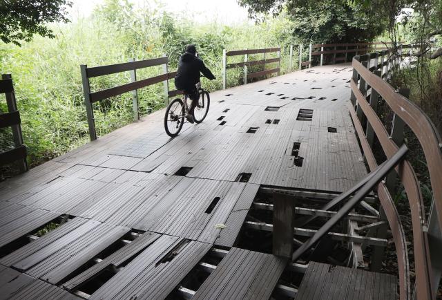 Santay en abandono: senderos destruidos ahuyentan a turistas y preocupan a ciudadanos
