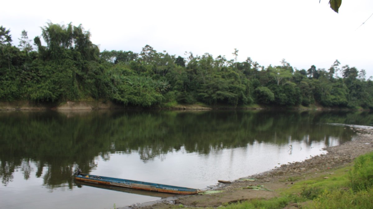 El cadáver de la mujer fue descubierto la mañana del lunes 10 de noviembre de 2025.