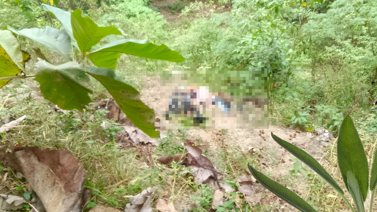 Los cuatro cuerpos estaban en una quebrada.