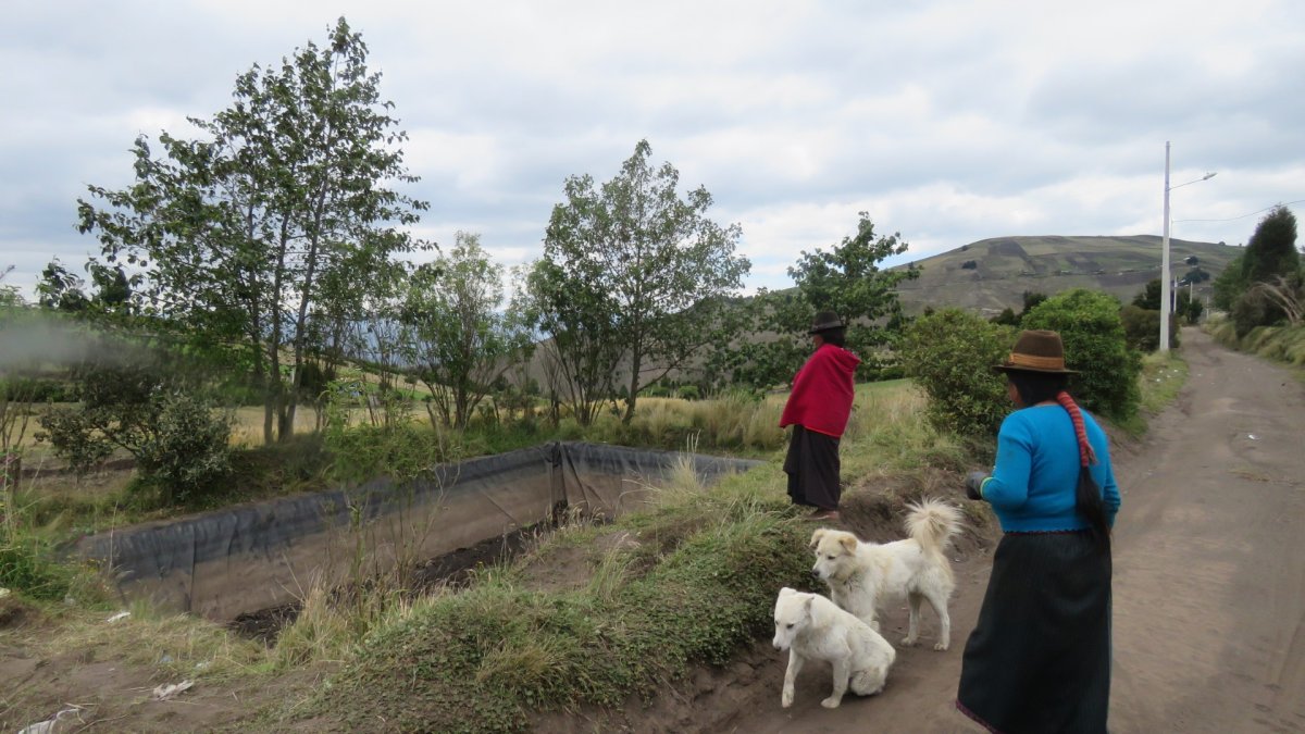 Los dos niños, de 5 y 6 años, fueron hallados sin vida la tarde del jueves 11 de diciembre en un reservorio de agua.