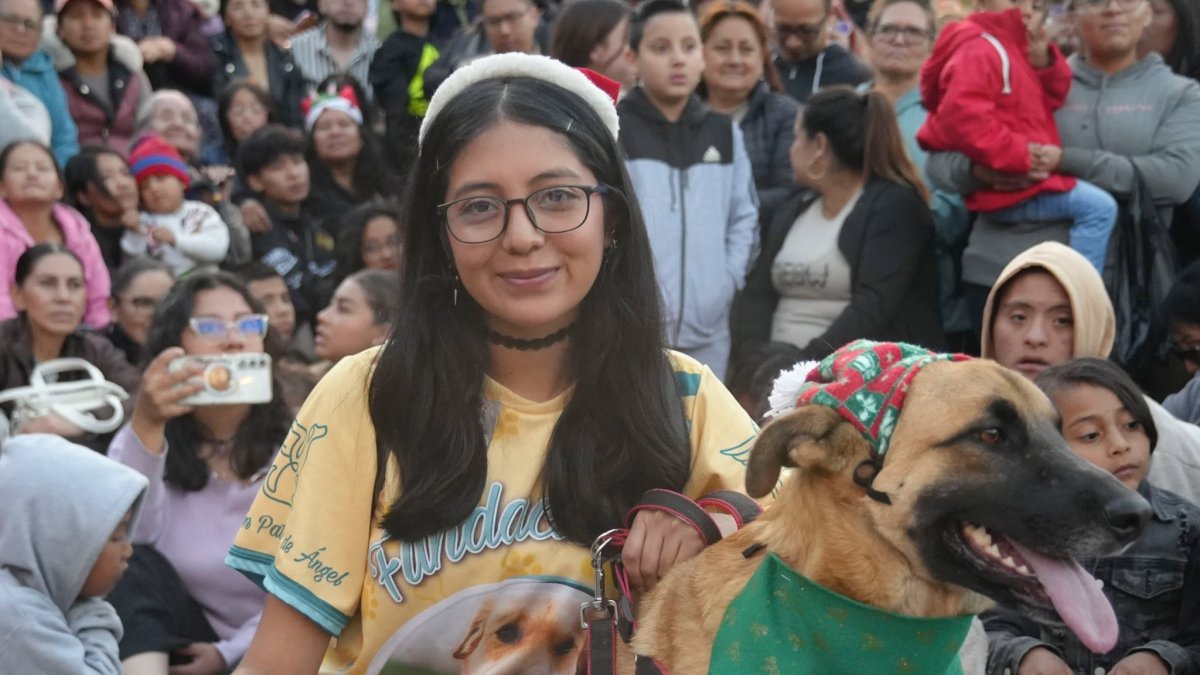 Mascotas desfilaron con creativos atuendos durante la pasarela canina realizada en el centro de Ambato.