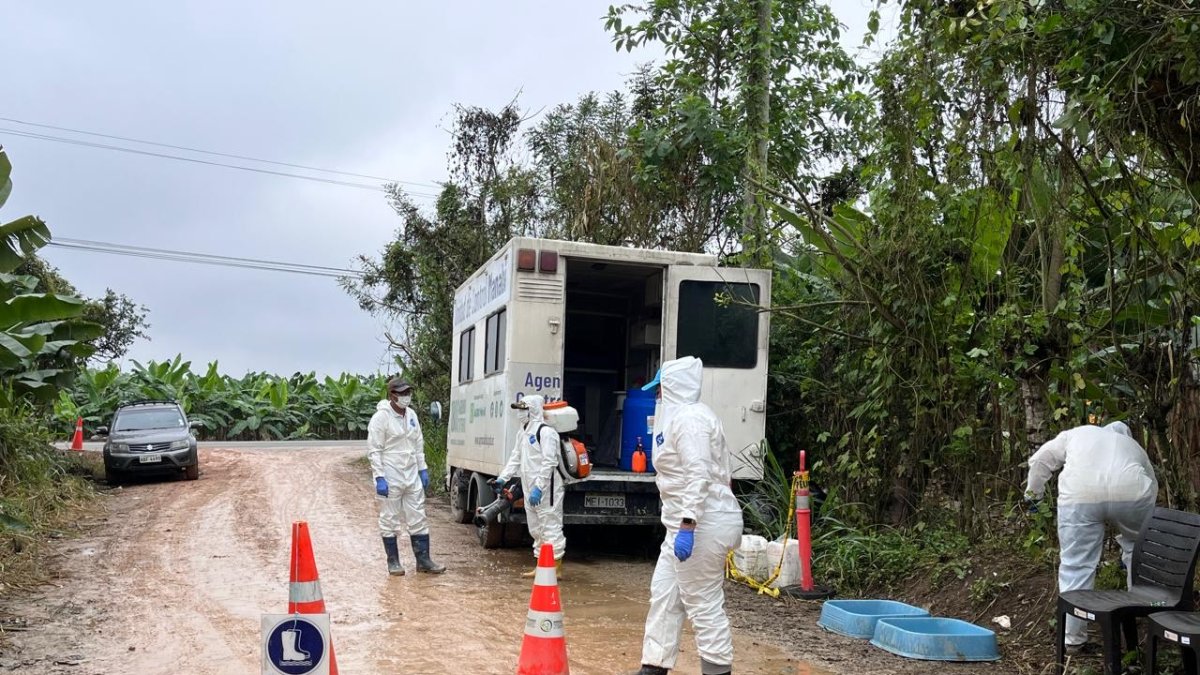 En la entrada a la finca donde se detectó el hongo se realizan estrictas medidas de bioseguridad