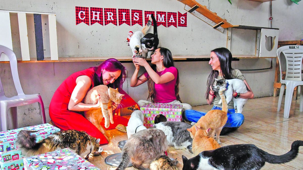Las mascotas también tienen su lugar en la mesa… o en el suelo, para compartir la cena junto a su familia