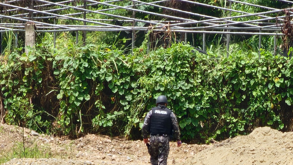 Un agente de la Policía Nacional patrulla una zona rural de Limones, Eloy Alfaro, durante un operativo de verificación tras hechos violentos registrados el 26 de diciembre.