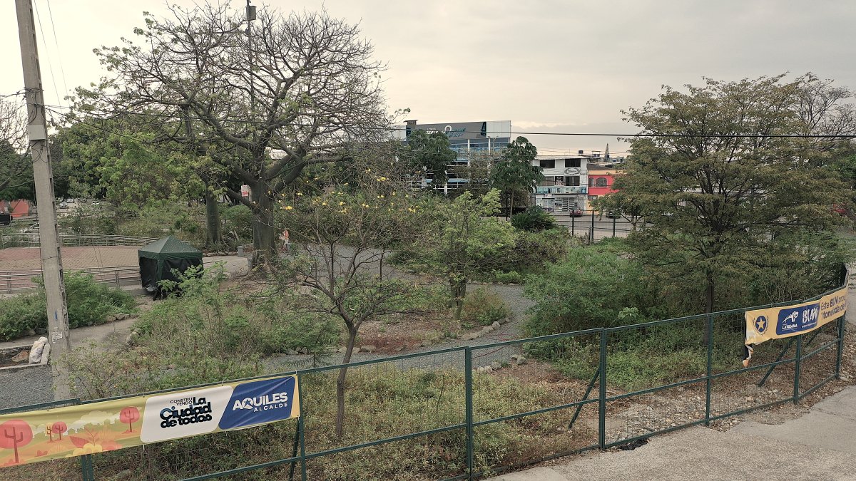 Enrejado y con monte hasta las rodillas permanece el Bosque Urbano Nativo de Sauces 6 .