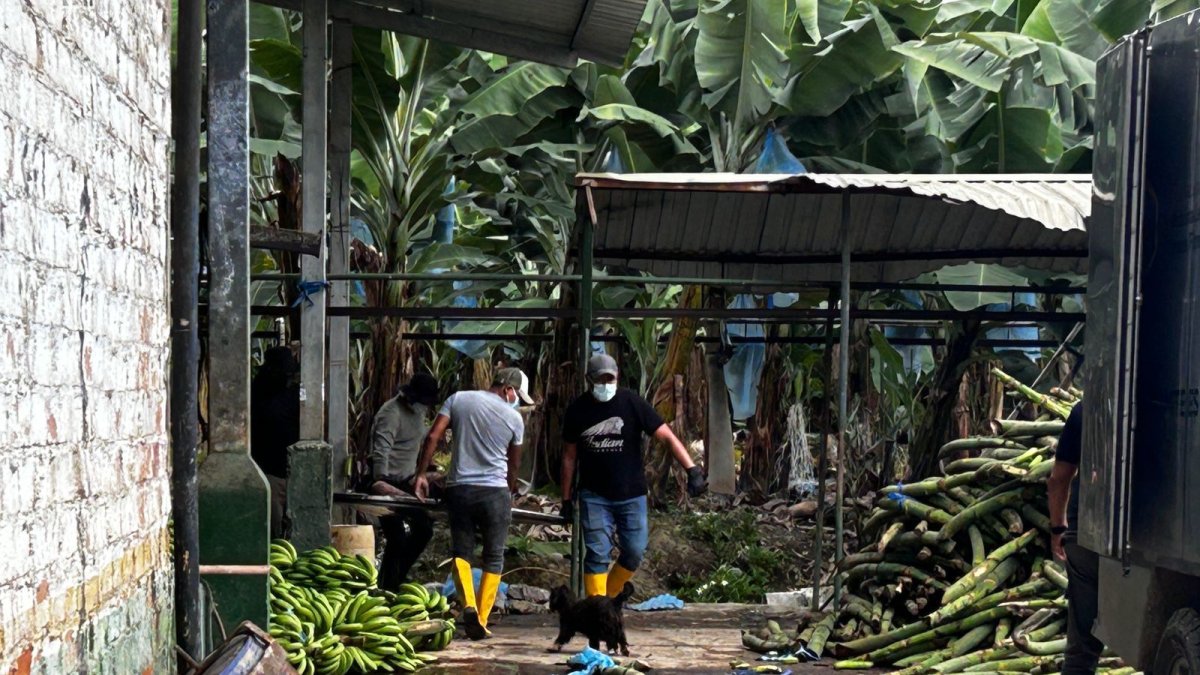 El descubrimiento causó alarma entre los trabajadores y moradores.
