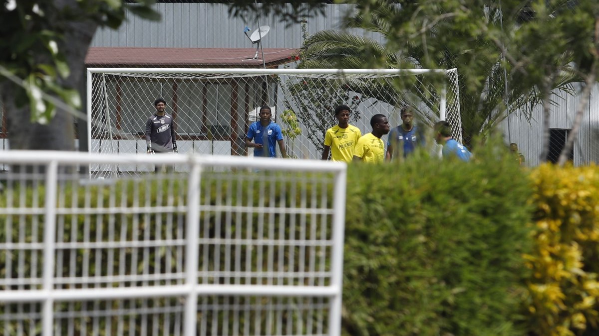 Solo cuando se abre el portón principal del complejo es posible observar por poco tiempo los trabajos del Ídolo.