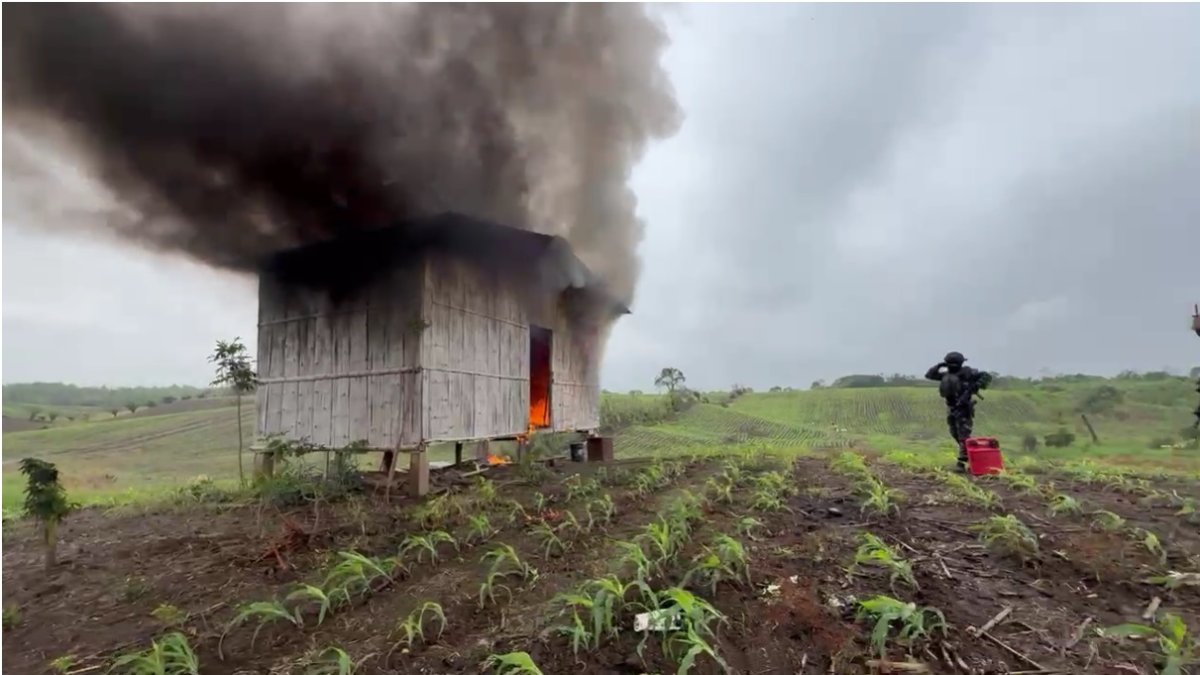 Una de las estructuras destruidas por los agentes durante la intervención.