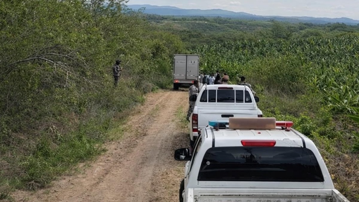 Un hombre fue hallado en una zona solitaria y rodeada de vegetación, en el sitio La Sequita, del cantón Jaramijó