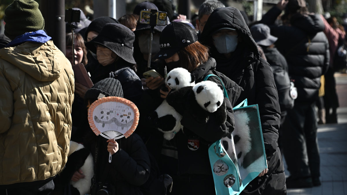 Personas se reúnen para despedir a un camión que transportaba a los pandas gigantes gemelos Xiao Xiao y Lei Lei en Tokio, Japón, que se queda sin pandas gigantes por primera vez en 50 años.