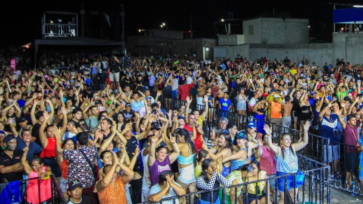 Los conciertos y espectáculos públicos necesitan seguridad.