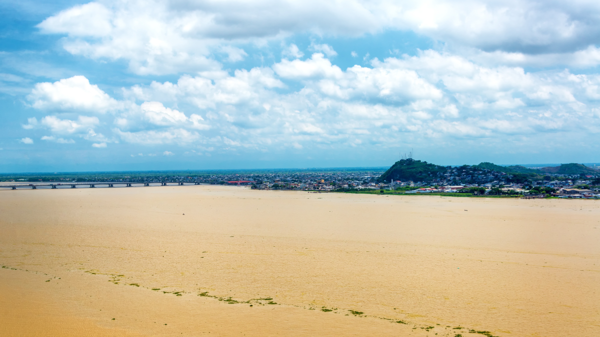 El río Guayas es el principal río de Ecuador y atraviesa Guayaquil hasta el océano Pacífico.