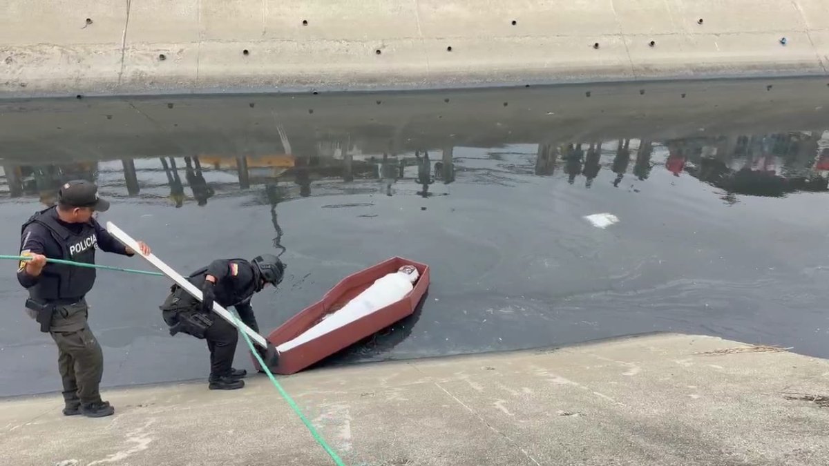 El extraño hallazgo se registró la mañana de este viernes 30 de enero.