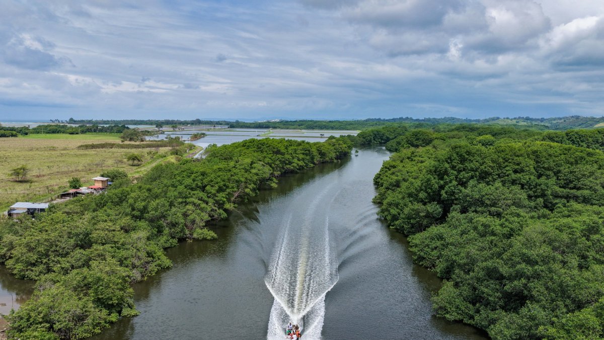 Entre los manglares de Bolívar se revela una cultura viva con una biodiversidad única.