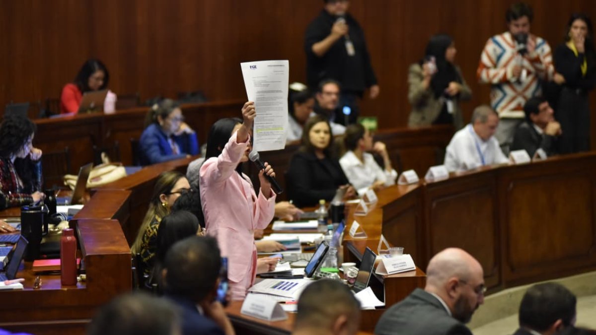 La legisladora Viviana Veloz en el juicio político a Mario Godoy.