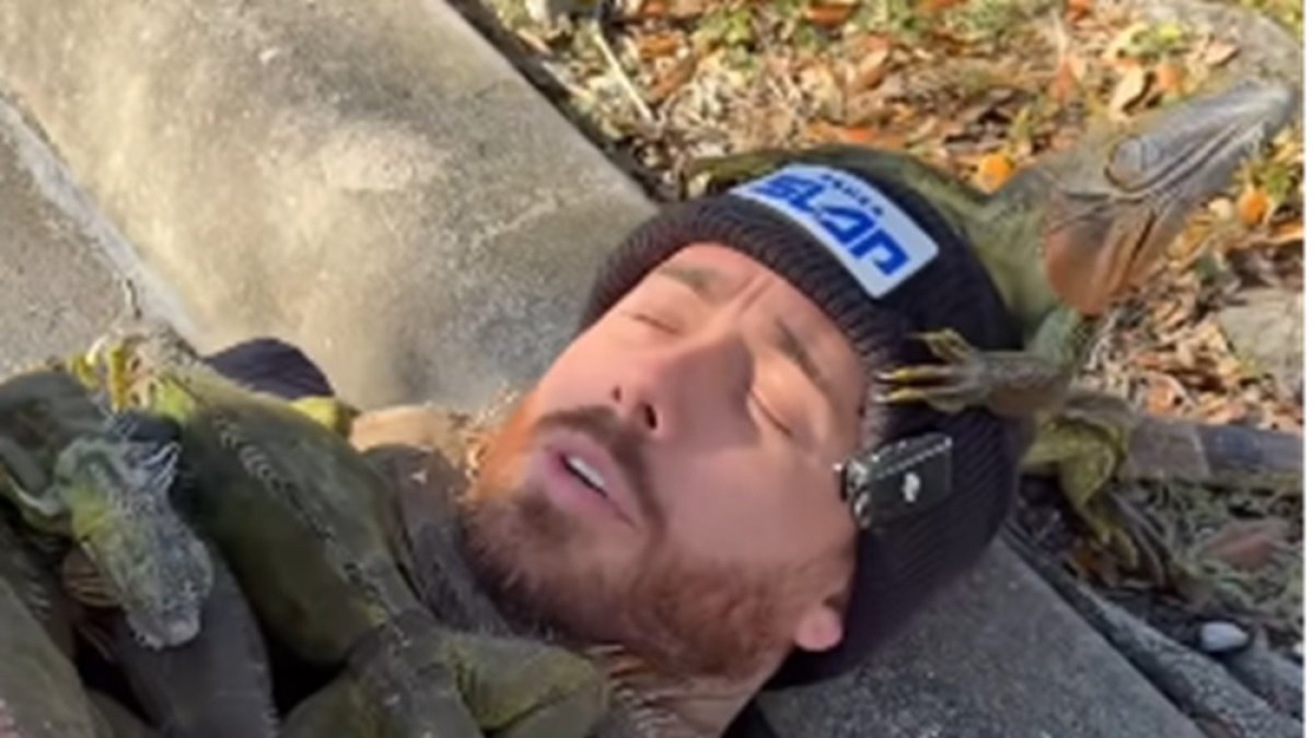 Las imágenes fueron filmadas el 1 de febrero de 2026.