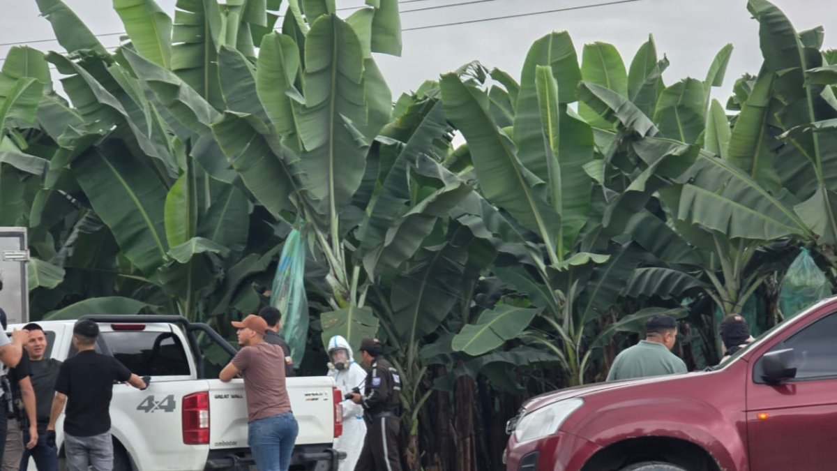 Los restos humanos fueron encontrados en la vía Perimetral Sur, en Pasaje.