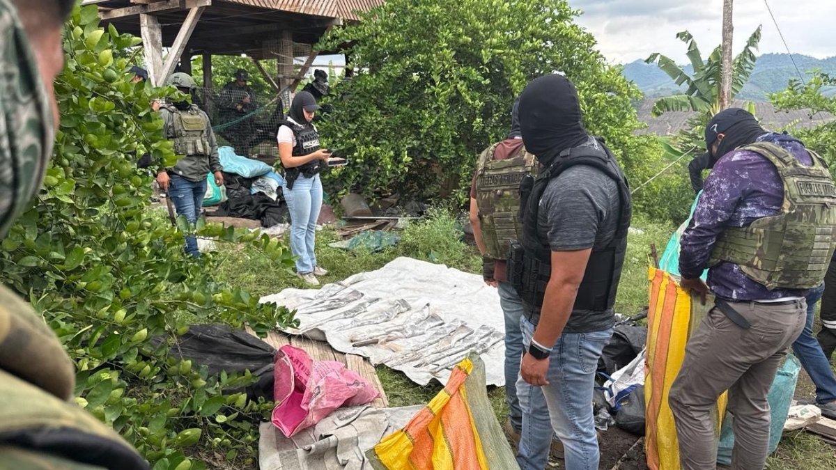 Las armas, municiones y dinero estaban encaletados en una hacienda.