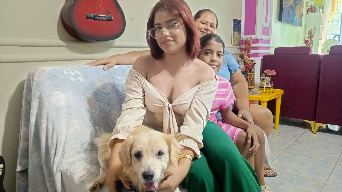 Sam descansa tranquilo en su hogar, rodeado del cariño de sus dueñas.