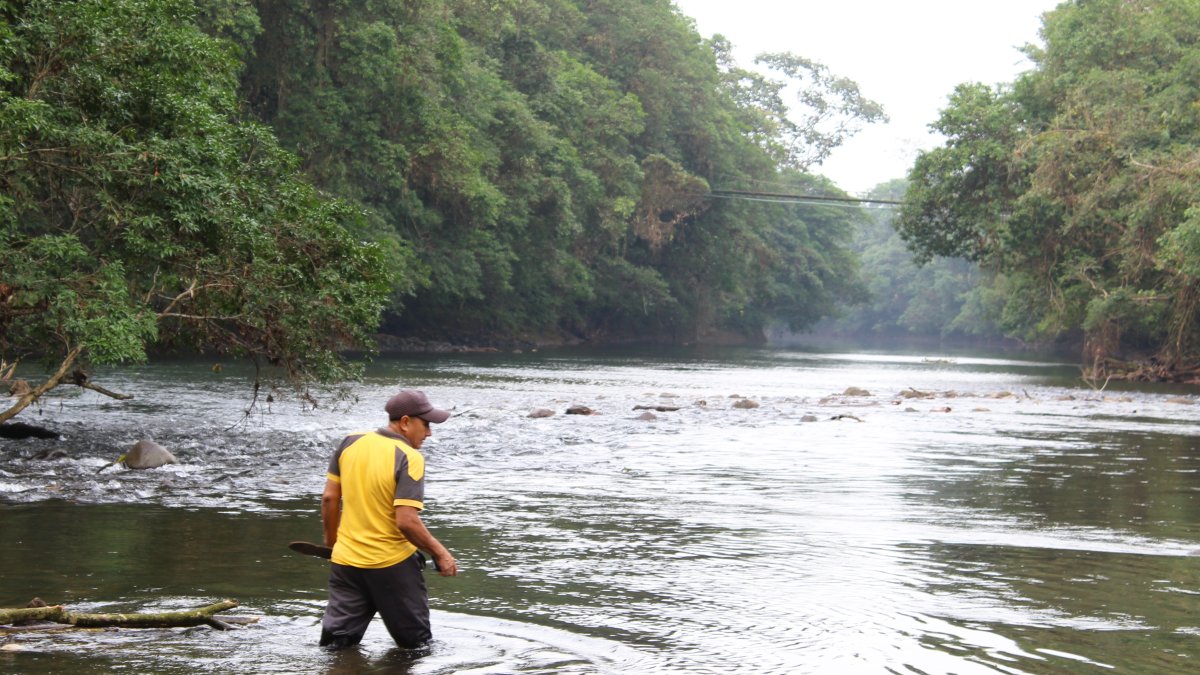 Un comunero recorre las aguas del río Canandé, machete en mano, mientras vecinos y rescatistas continúan la búsqueda de Don Peña, desaparecido tras el naufragio de su canoa.