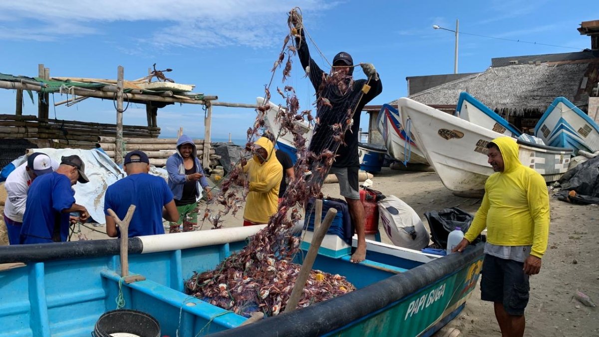 En caletas pesqueras como San Clemente, en el norte de Manabí, los pescadores muestran como quedan sus artes de pesca