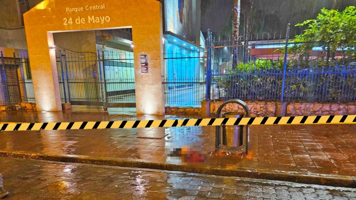 La cabeza fue abandonada en el parque. La familia de la víctima quiere recuperar la parte restante.