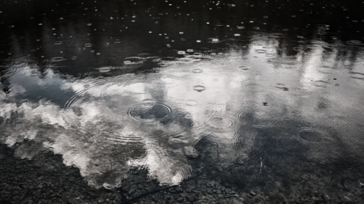 Conoce el clima en tu ciudad este día.