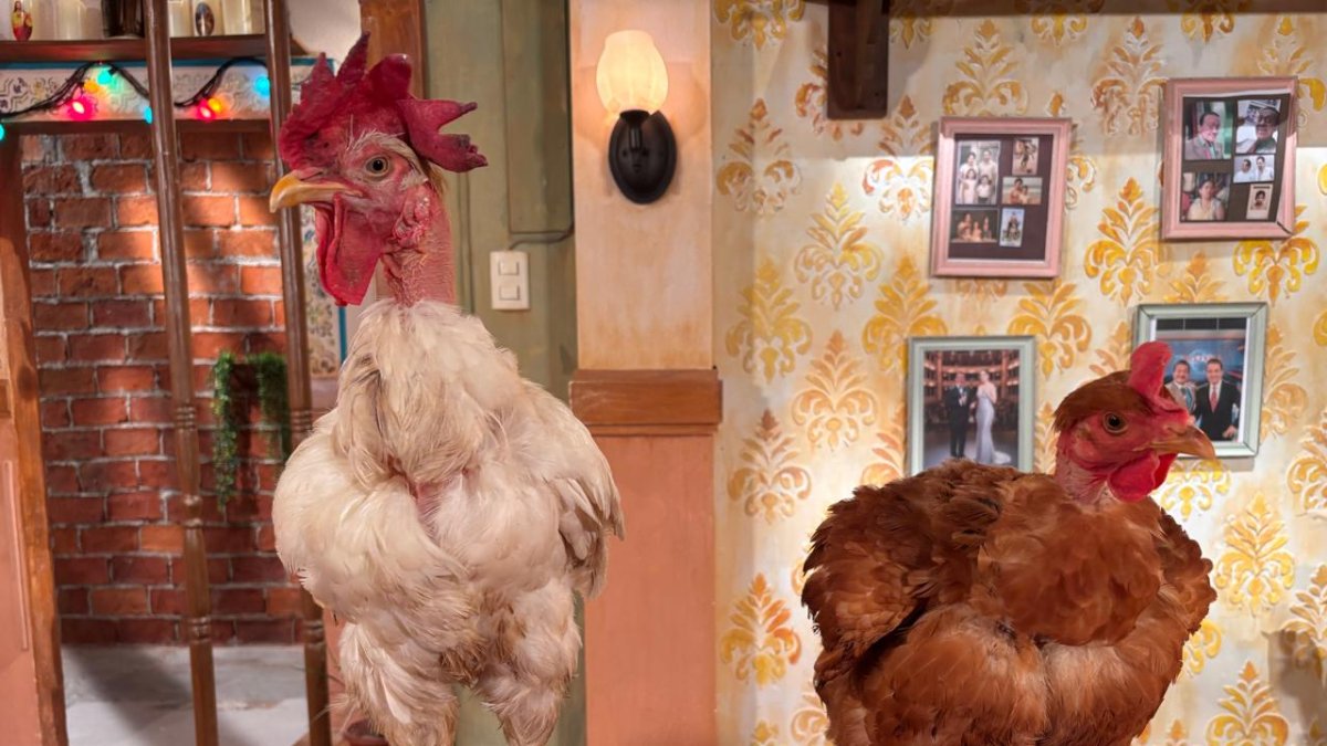 Marantoni (izquierda) junto a Karol G. Ambas aves se ganaron el puesto para estar en la novela Cholito forever.