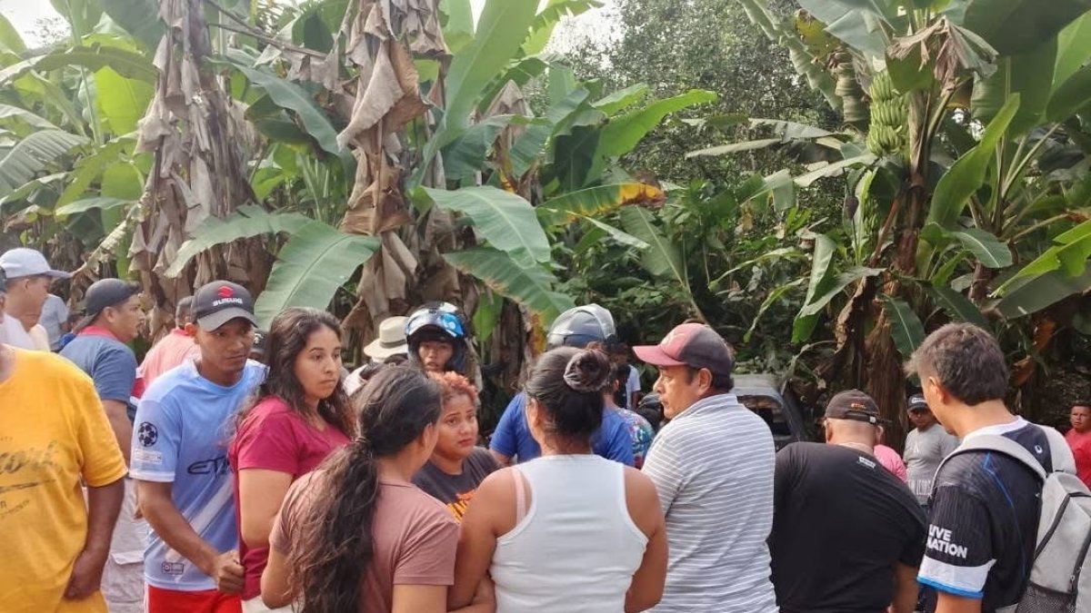 El automotor en que iban los parientes quedó entre una plantación de verdes.