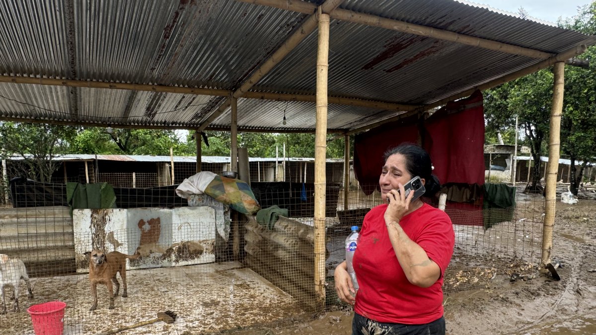 Mayra Santos, representante del albergue Callejeritos SOS, lamenta lo sucedido en el refugio de canes