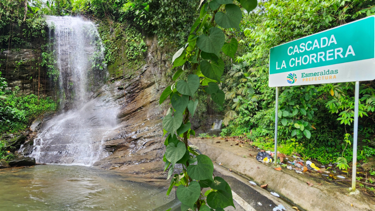 El sonido de la caída de agua se mezcla con el canto de las aves.