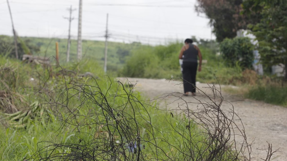 Cooperativa Valle de la Flor, noroeste de Guayaquil.