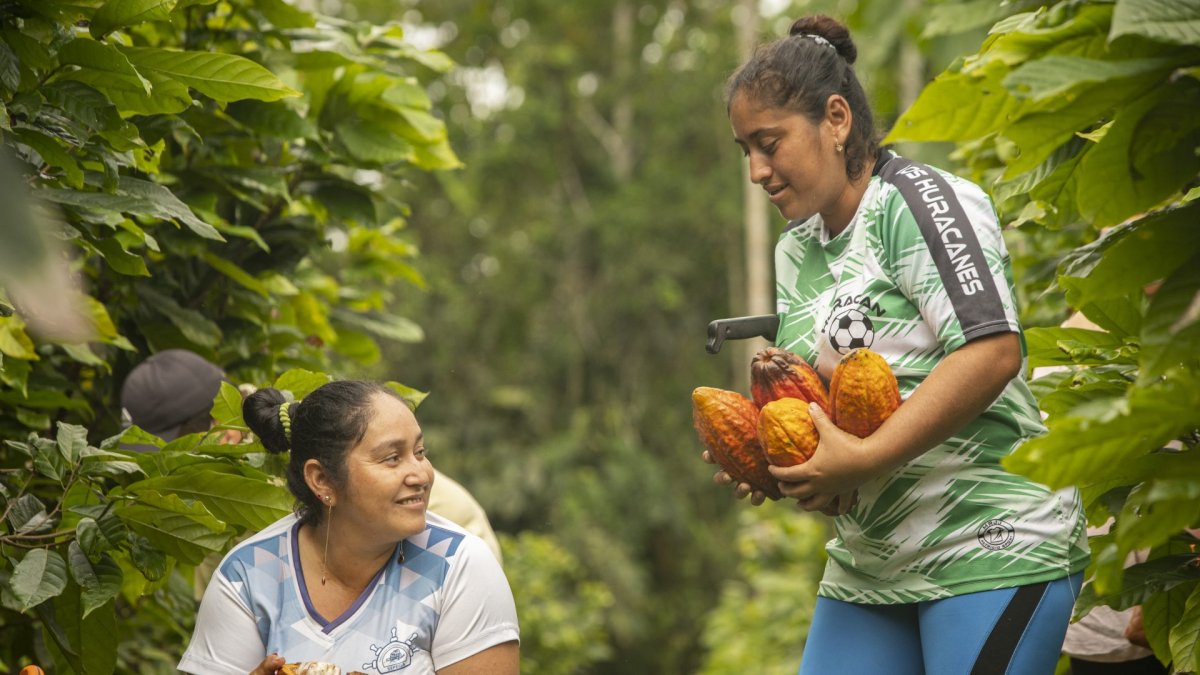 La implementación del ART otorga a Ecuador una ventaja competitiva sin precedentes frente a otros gigantes del sector