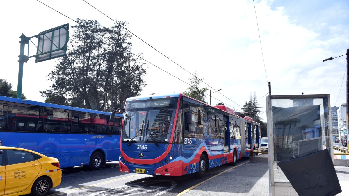 Compra de trolebuses en Quito: Pabel Muñoz asegura transparencia y ahorro millonario