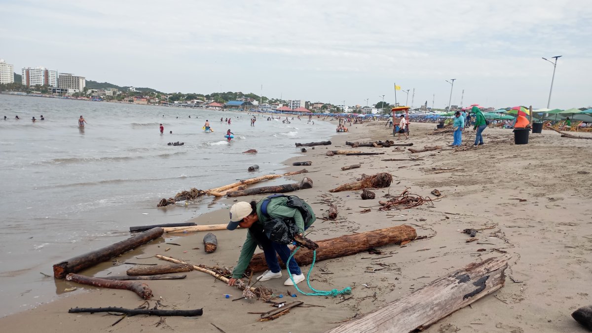 Trabajadores turísticos retiran manualmente los troncos que invaden la playa en Playas.