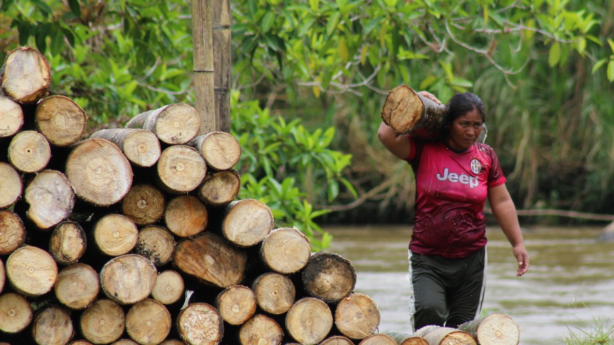 Una mujer chachi carga madera en la ribera del río Cayapas, reflejo del esfuerzo cotidiano y la lucha por la subsistencia en medio de la crisis humanitaria.