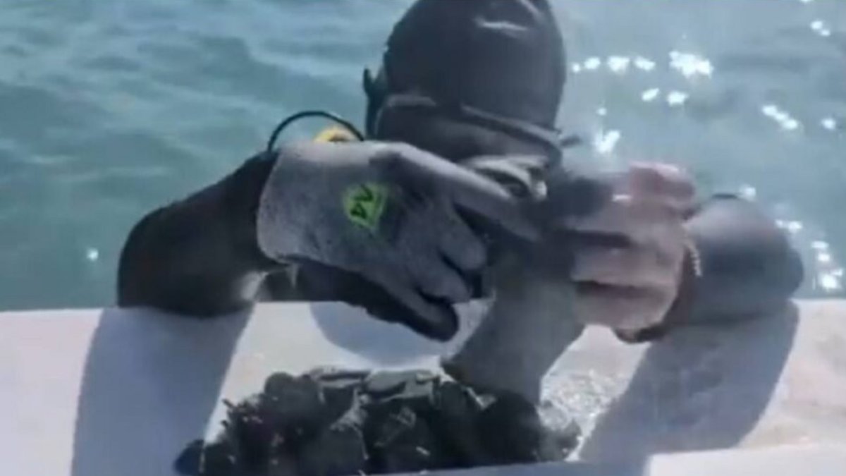 Un equipo de buzos recuperó monedas históricas en Florida, con un valor cercano al millón de dólares tras siglos bajo el mar.