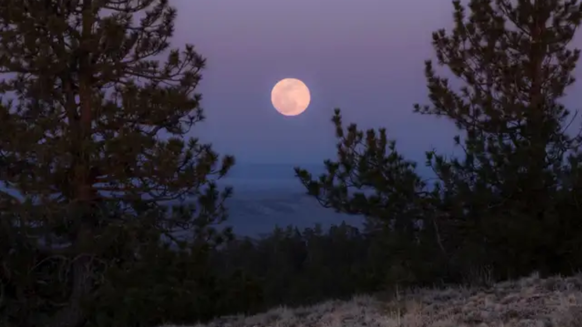 La Luna rosa podrá observarse desde ambos hemisferios del planeta