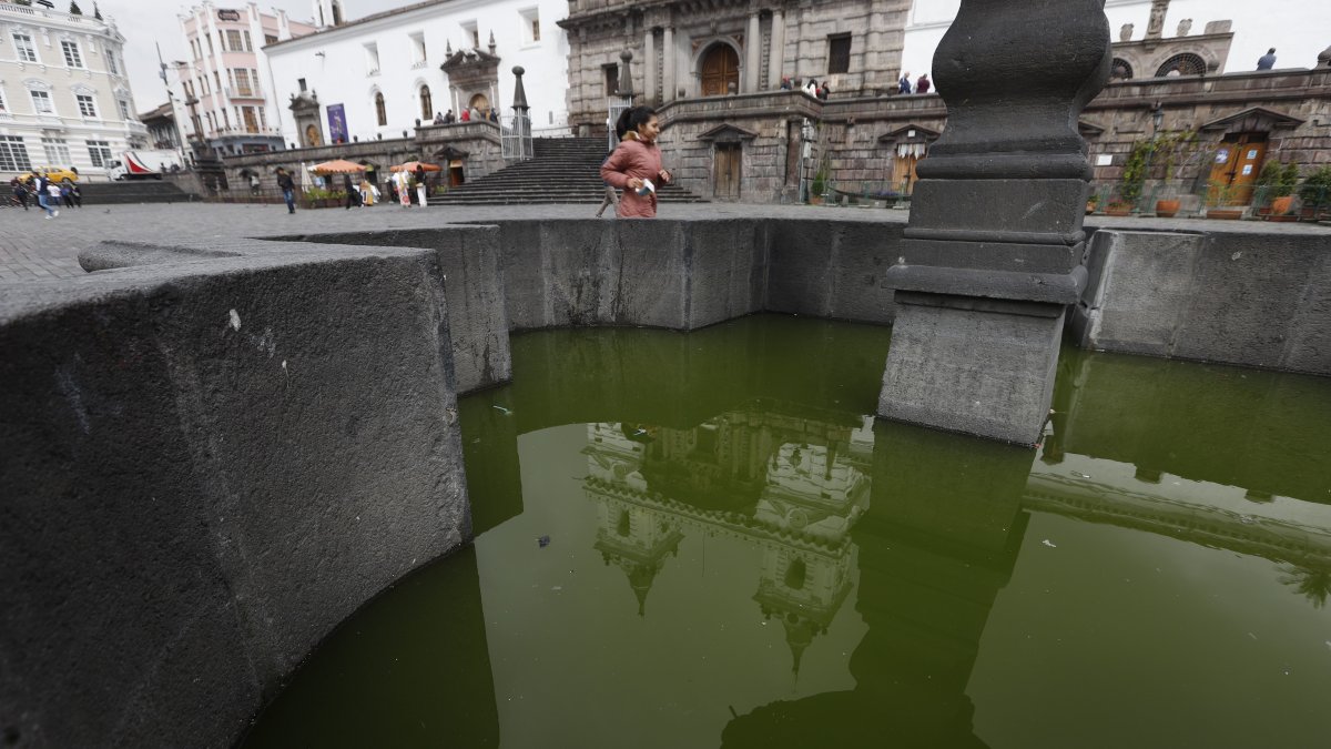 La pileta de San Francisco tiene agua estancada desde hace mucho tiempo. Además, hay mal olor.