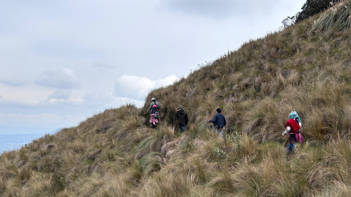 Las 407 hectáreas son monitoreadas constantemente para evitar incendios y conservar las fuentes hídricas.