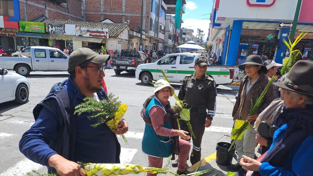 Operativos permitieron decomisar más de 200 kilos de palma de cera en varios cantones de Tungurahua.