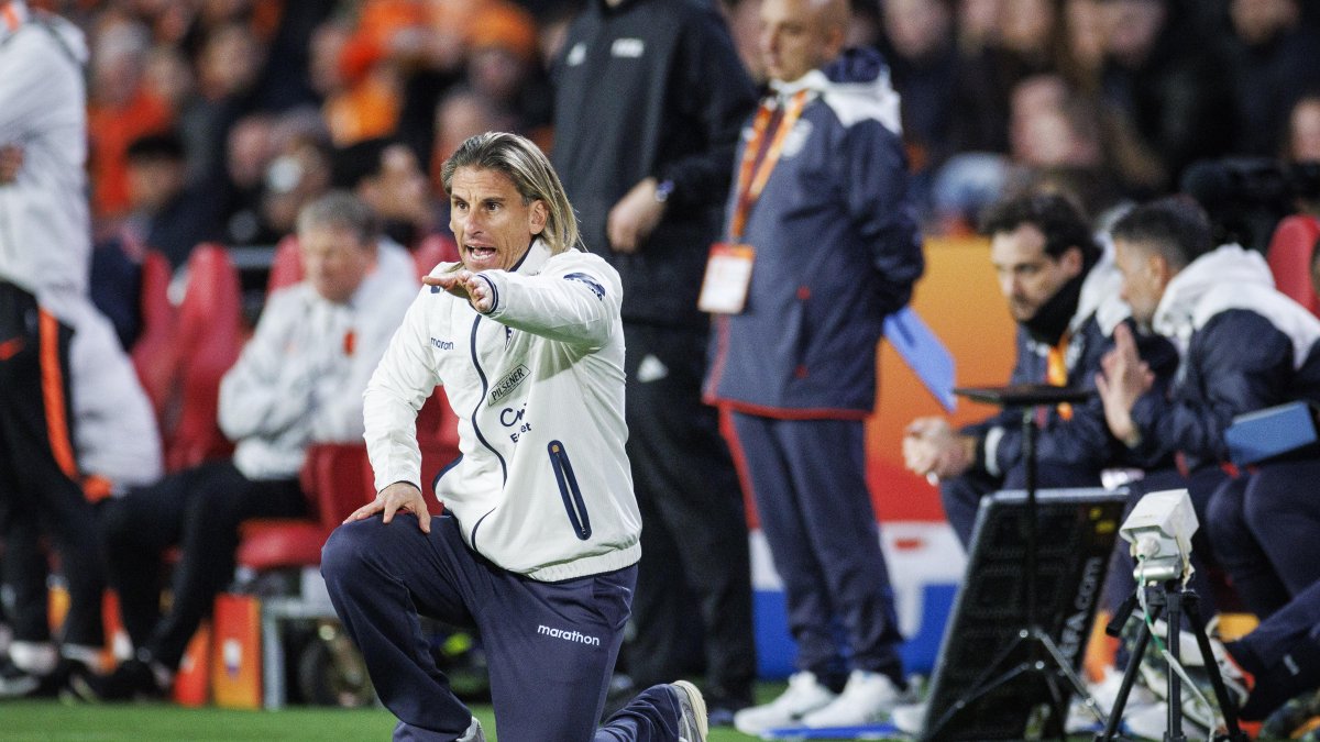 Sebastián Beccacece y sus gestos en el partido ante Países Bajos.