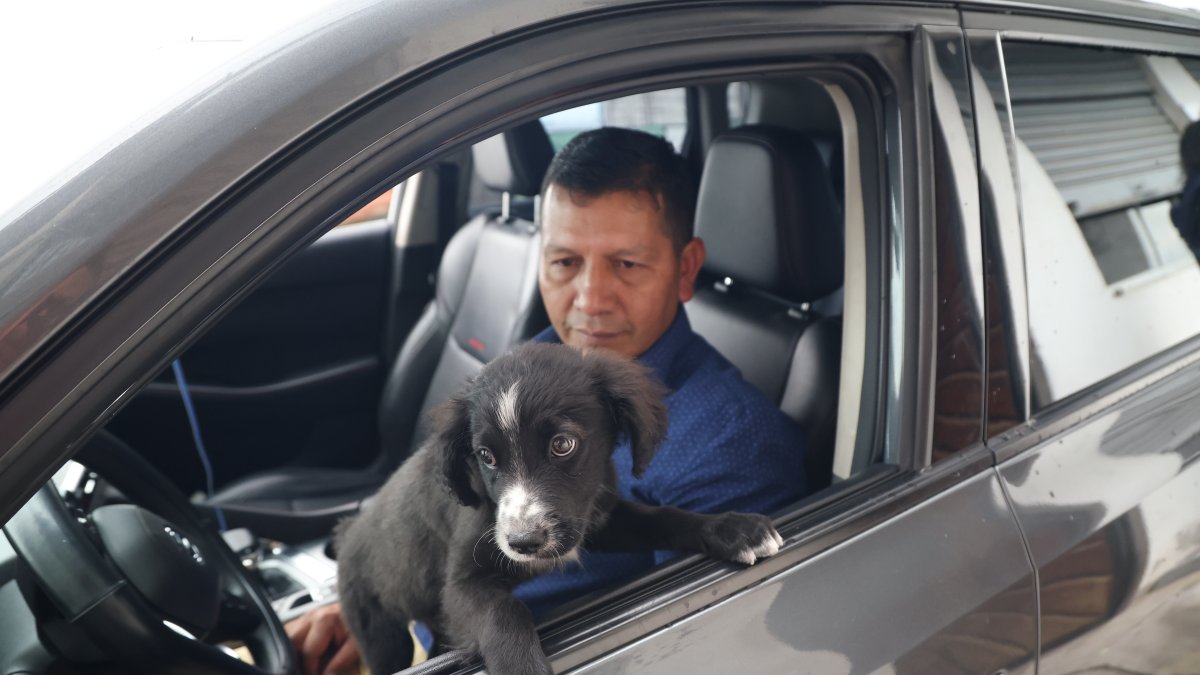 Pablo confía que con el tiempo, Peluche se vuelva parte de su seguridad en las carreras.